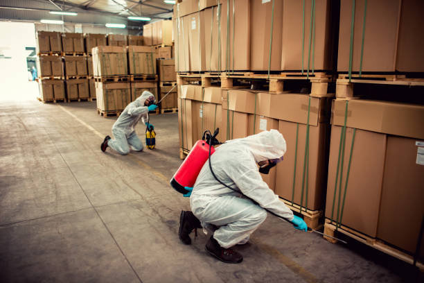 Professional Pest Control in Euless, TX