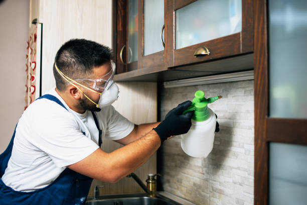 Best Best Pest Control Companies  in Euless, TX