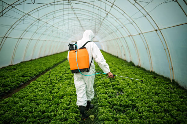 Best Pest Inspection Near Me  in Euless, TX