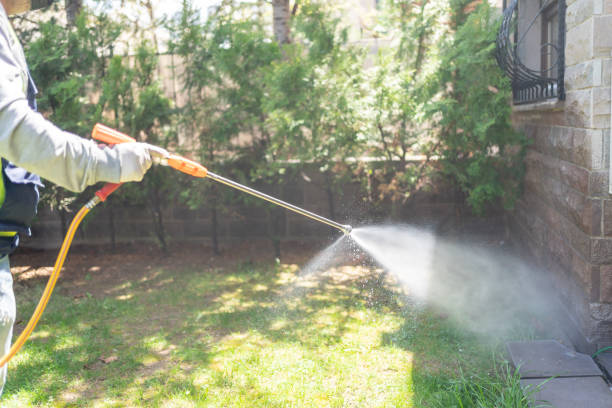 Best Pest Prevention Services  in Euless, TX
