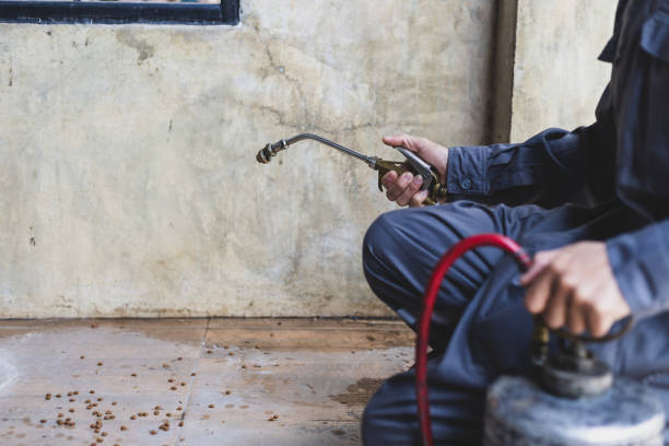 Best Pest Removal Services  in Euless, TX